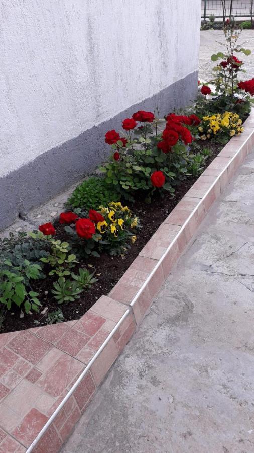 Kuca Za Odmor Varos Villa Vrlika Buitenkant foto